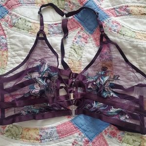 Thistle and Spire Cirsi in Cordial